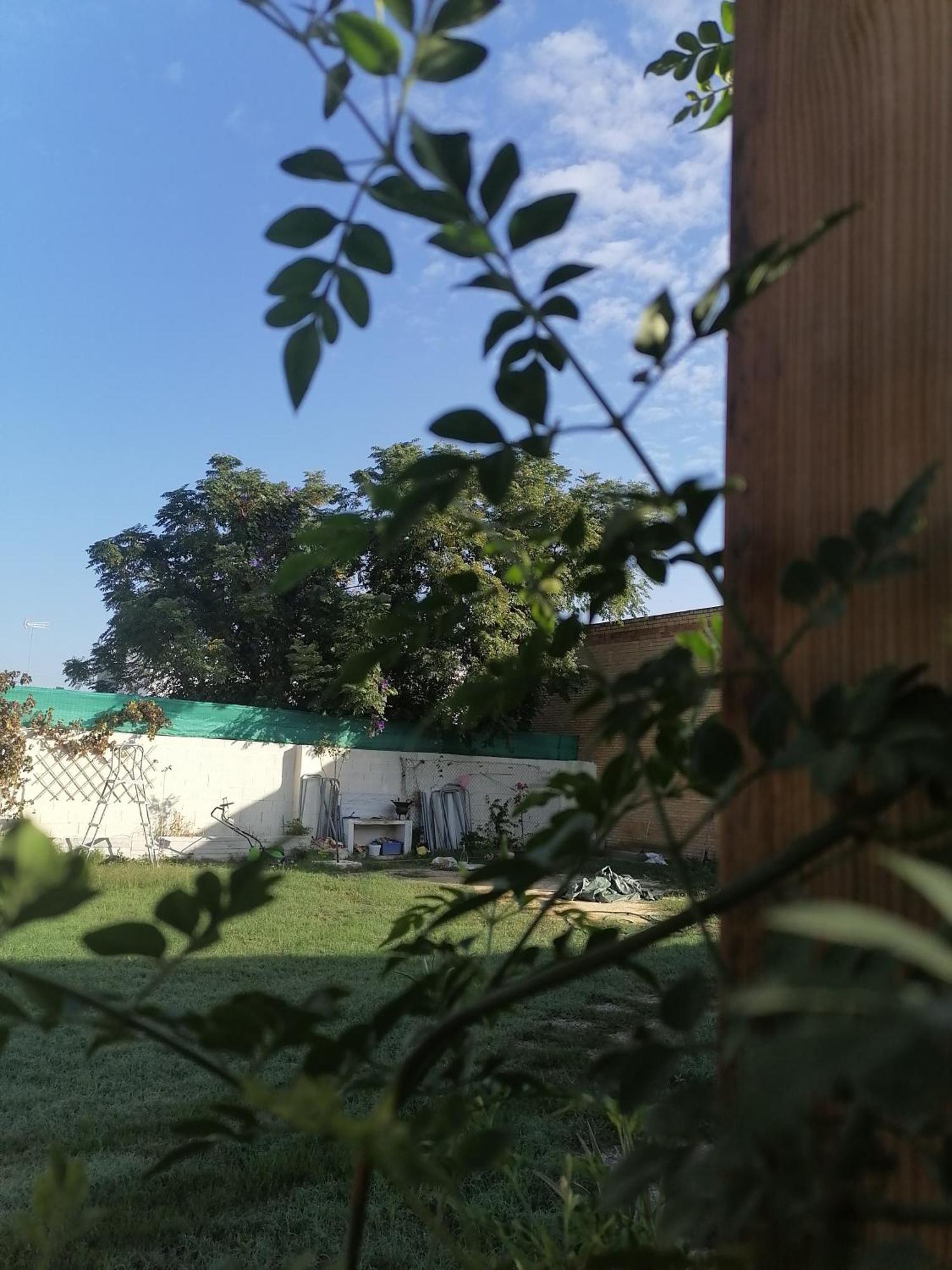 Villa Cabana El Salto Del Duende Carrion de Los Cespedes Exterior foto